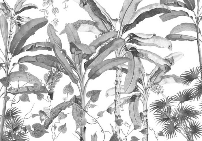 Standard Vlies Croissances Monochrome