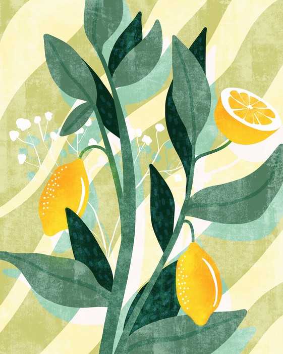 Standard Vlies Lemon Fresh