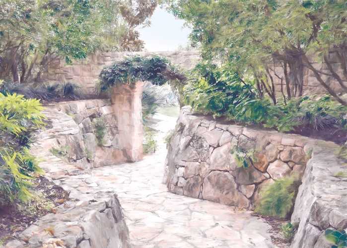 Standard Vlies Passage