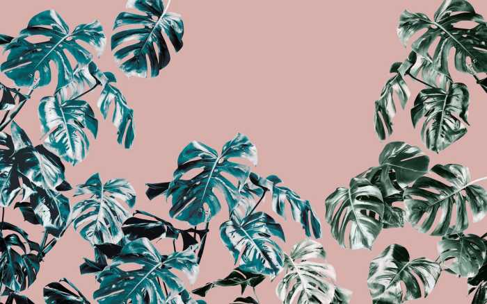 Premium Vlies Monstera Rosé