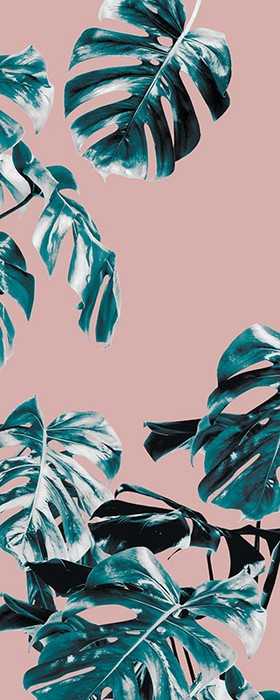 Premium Vlies Monstera Rosé Panel 