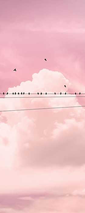 Premium Vlies Cloud Wire