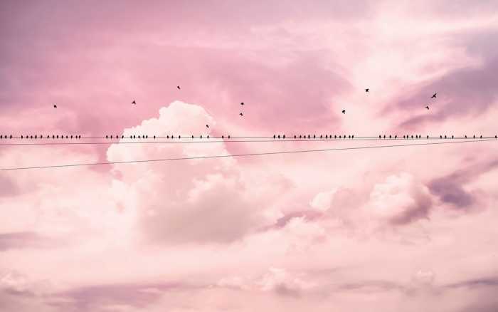 Premium Vlies Cloud Wire