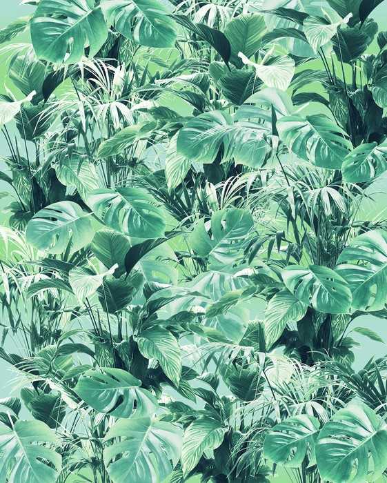 Premium Vlies Evergreen