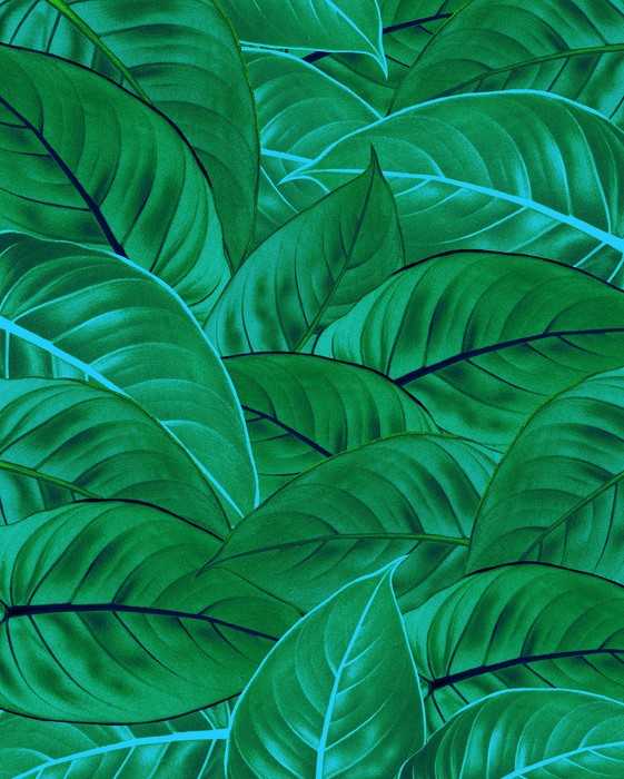 Premium Vlies Jungle Leaves