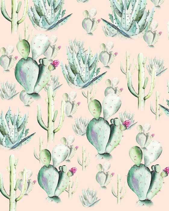 Premium Vlies Cactus Rose
