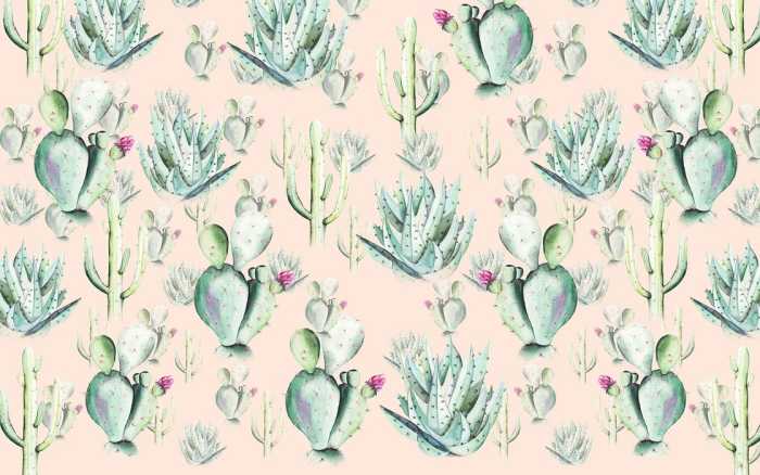 Premium Vlies Cactus Rose