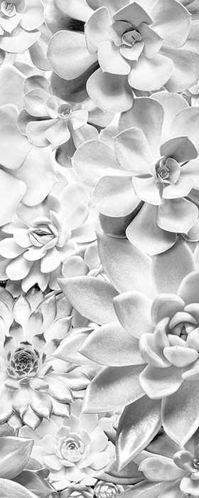 Premium Vlies Shades Black and White