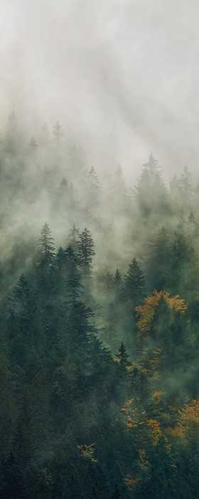 Premium Vlies Tales of the Carpathians