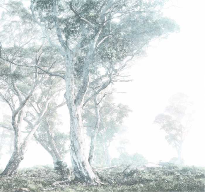 Premium Vlies Magic Trees