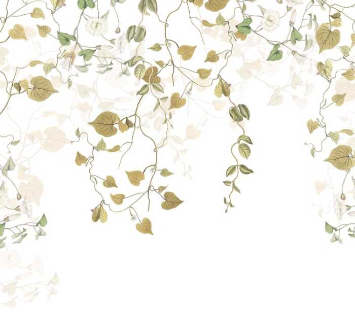 Premium Vlies Hedera