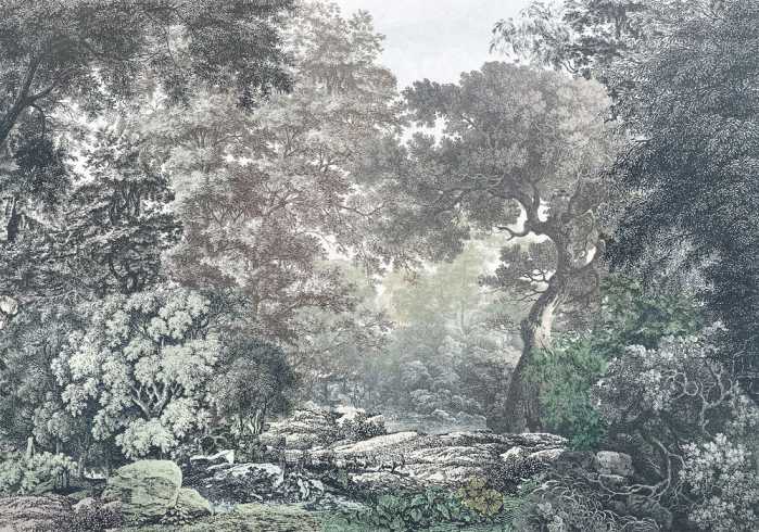 Premium Vlies Fairytale Forest