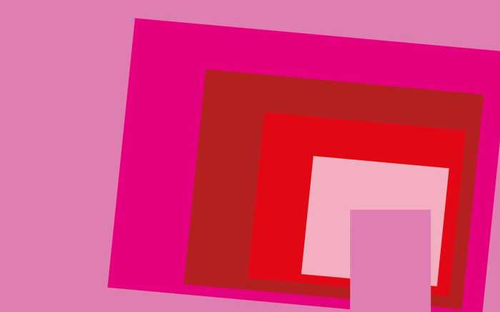 Premium Vlies Blocking Oblique rose-red