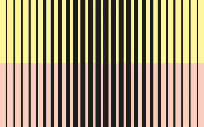 Premium Vlies Lamello Mezzo black-yellowapricot