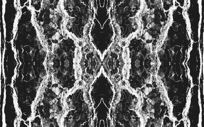 Premium Vlies Oak Bark black-white