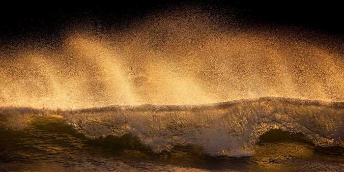 Premium Vlies Golden Wave