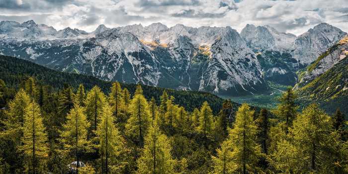 Premium Vlies Wild Dolomites