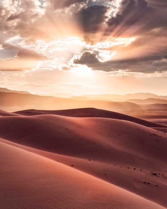 Premium Vlies God Rays