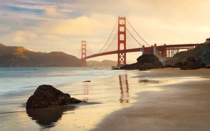 Premium Vlies Golden Gate