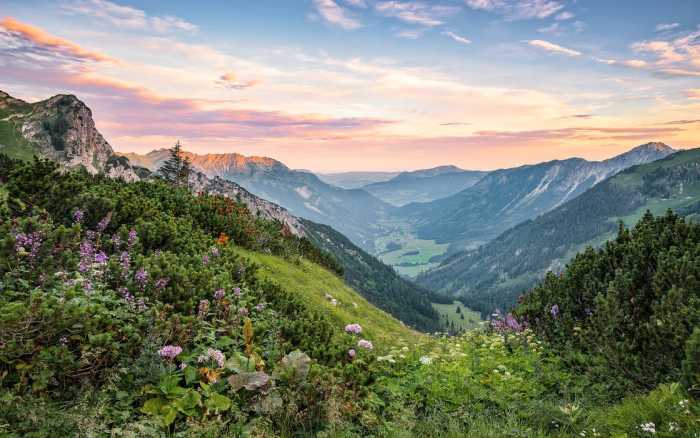 Premium Vlies Alps