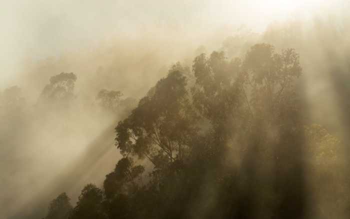 Premium Vlies Misty Mountain