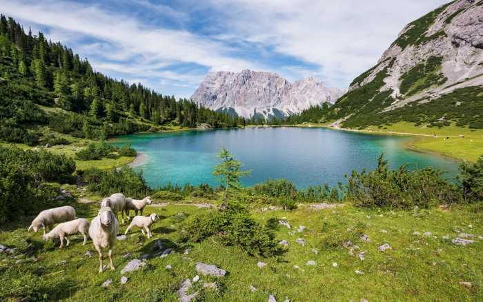 Premium Vlies Paradise Lake