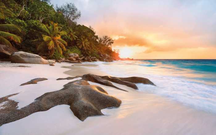 Premium Vlies Nature