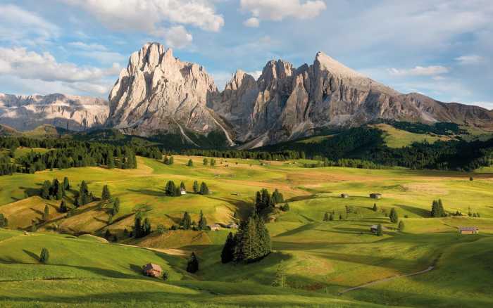 Premium Vlies Alpen