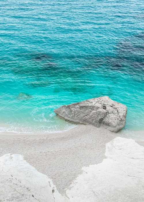 Standard Vlies Dreambay