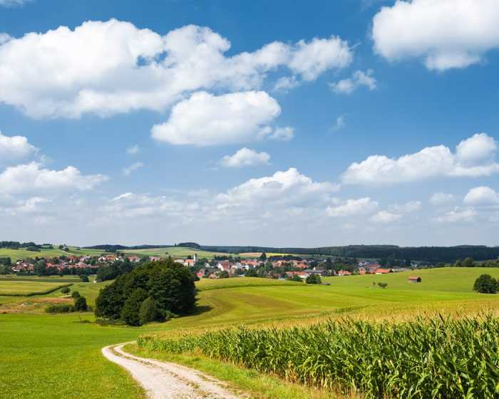 Standard Vlies Bayrische Idylle