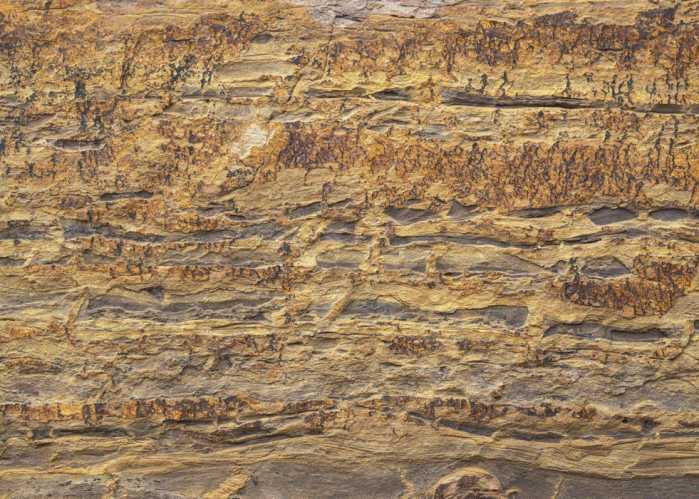 Standard Vlies African Wall I