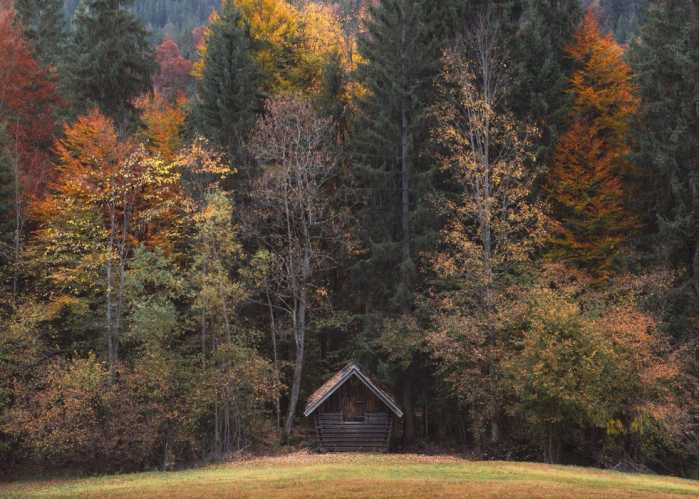 Standard Vlies Autumn Cabin