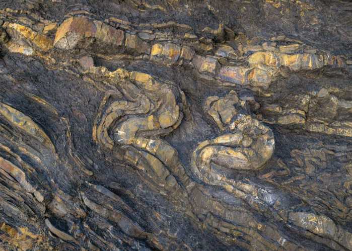 Standard Vlies Colors of Earth V