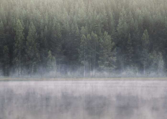 Standard Vlies Scandi Wall