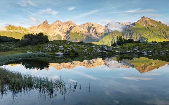 Standard Vlies Allgäu Spiegel