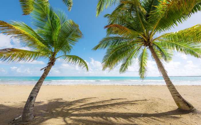 Standard Vlies Caribbean Days II
