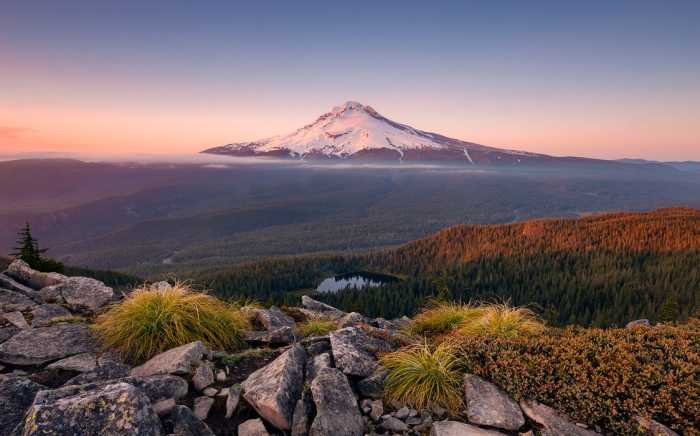 Standard Vlies Kingdom of a Mountain