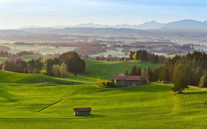 Standard Vlies Paradiesisches Bayern