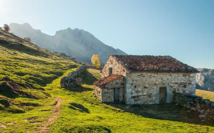 Standard Vlies Picos de Europe Alm