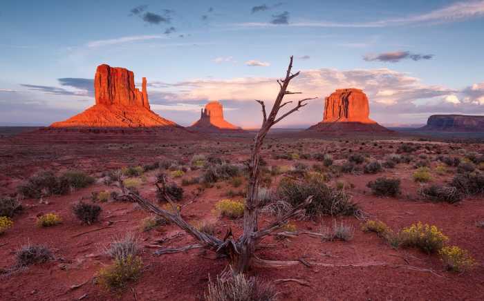 Standard Vlies Wild West Heroes