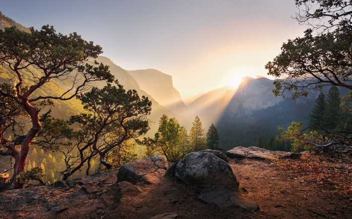 Standard Vlies Yosemites Secret