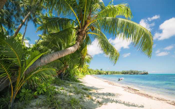 Standard Vlies Fiji Dreams Boat 