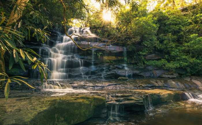 Standard Vlies Golden Falls