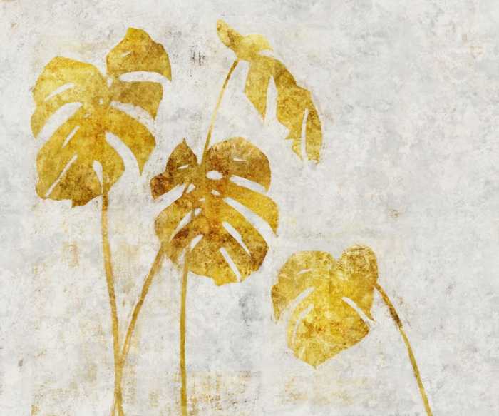 Standard Vlies Golden Monstera