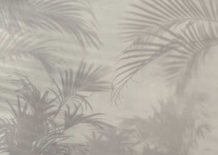 Standard Vlies Lumière