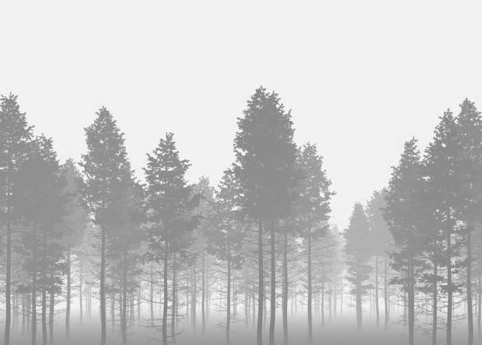 Standard Vlies Nebula