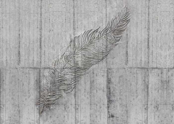 Standard Vlies Concrete Feather