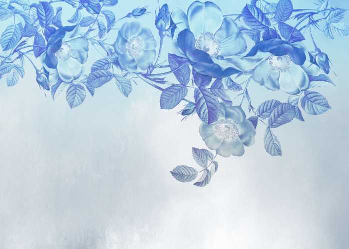 Standard Vlies Blue Aura