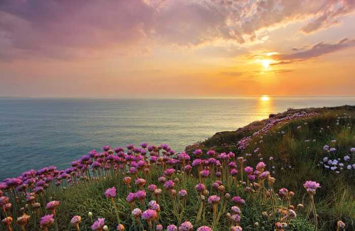 Standard Vlies Land's End