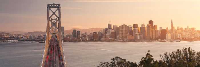 Vlies California Dreaming